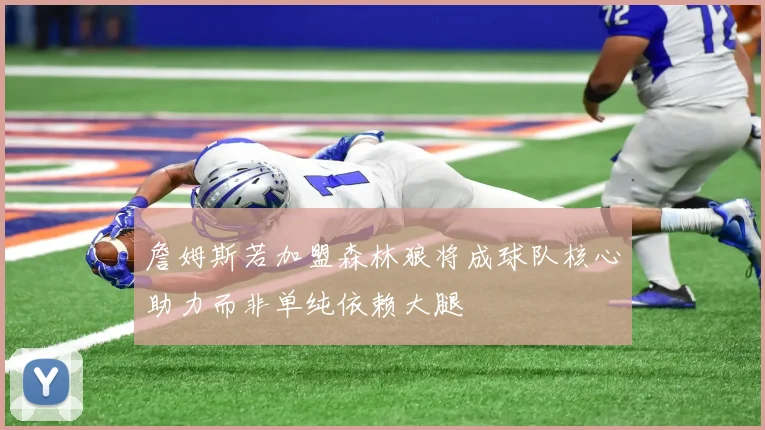 詹姆斯若加盟森林狼将成球队核心助力而非单纯依赖大腿