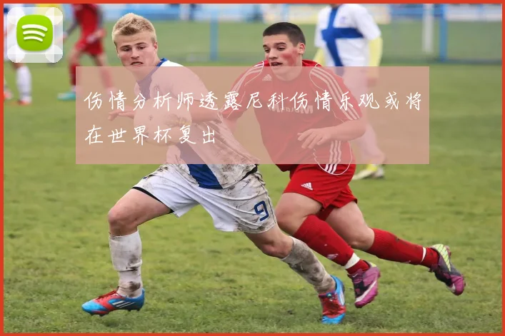伤情分析师透露尼科伤情乐观或将在世界杯复出